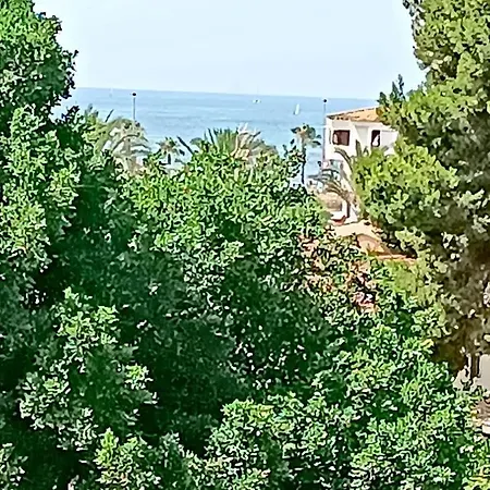 De Pinoso Torrevieja